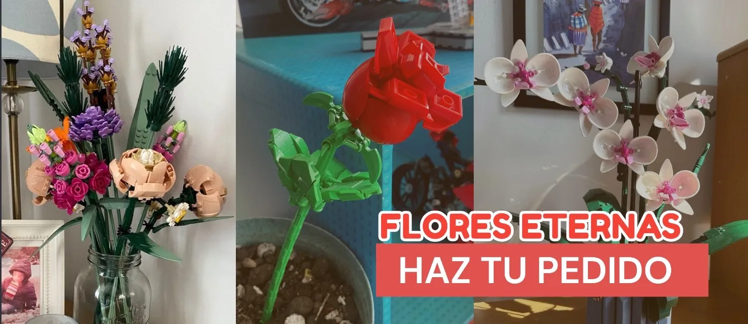 flores-infinity